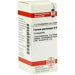 FERRUM PICRINICUM D 6 globules, 10 g