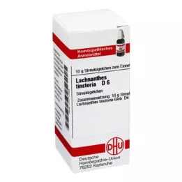 DHU Lachnanthes tinctoria D 6 globules, 10 g
