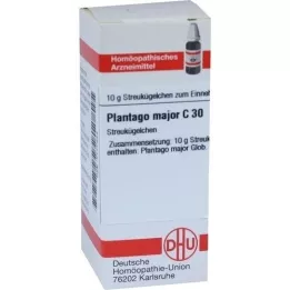 PLANTAGO MAJOR C 30 globules, 10 g