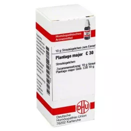 DHU Plantago Major C 30 globules, 10 g