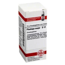 DHU Plantago Major D 12 globules, 10 g