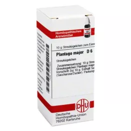 DHU Plantago Major D 6 globules, 10 g