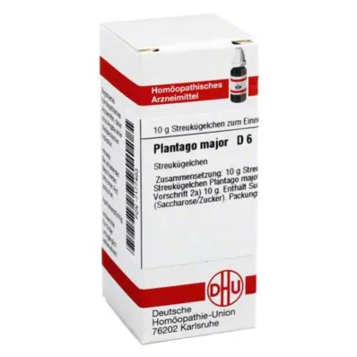 PLANTAGO MAJOR D 6 globules, 10 g PLANTAGO MAJOR D 6 globules, 10 g