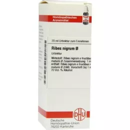Ribes Nigrum mother tincture (20 ml)