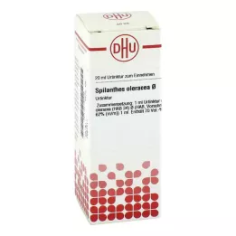 Spilanthes Oleracea mother tincture = D1 (20 ml)
