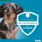 Kiltix for small dogs collar, 1 piece
