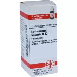 LACHNANTHES tinctoria D 12 globules, 10 g