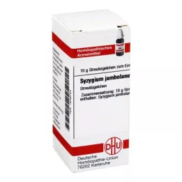 DHU Syzygium jambolanum D 4 globules, 10 g