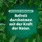 BRONCHOFORTON Ointment, 100 g