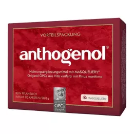OPC ORIGINAL Masqueliers Anthogenol Capsules, 90 Capsules
