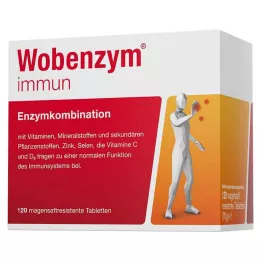 WOBENZYM immune enteric-coated tablets, 120 pcs