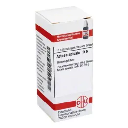 DHU Actaea spicata D 6 globules, 10 g