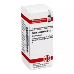 DHU Bellis perennis C 12 globules, 10 g