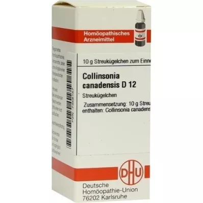 COLLINSONIA CANADENSIS D 12 globules, 10 g