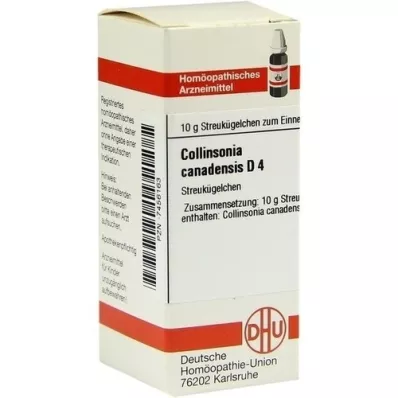 COLLINSONIA CANADENSIS D 4 globules, 10 g