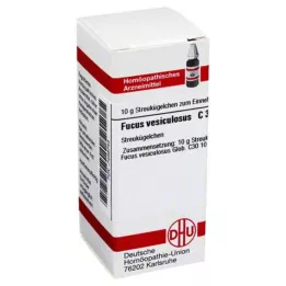 DHU Fucus vesiculosus C 30 globules, 10 g