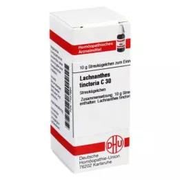 DHU Lachnanthes tinctoria C 30 globules, 10 g