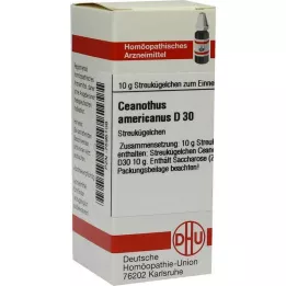 DHU Ceanothus americanus D 30 globules, 10 g