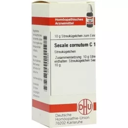 SECALE CORNUTUM C 12 globules, 10 g