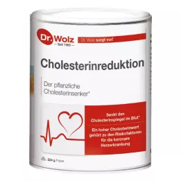 CHOLESTERINREDUKTION Dr.Wolz Powder, 224 g