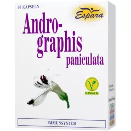 ANDROGRAPHIS paniculata capsules, 60 pcs