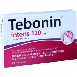TEBONIN intensive 120 mg film-coated tablets, 30 pcs
