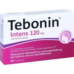 TEBONIN intensive 120 mg film-coated tablets, 60 pcs