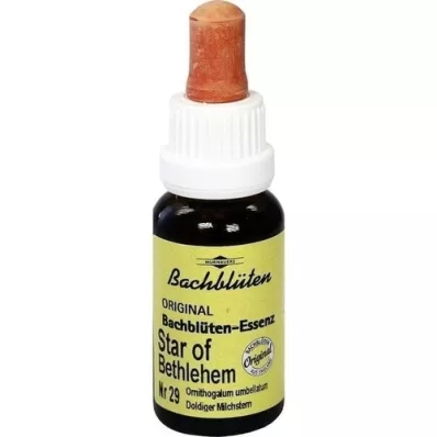 BACHBLÜTEN Murnauer Star of Bethlehem drops, 20 ml