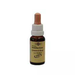 BACHBLÜTEN Murnauer Chestnut Bud drops, 20 ml