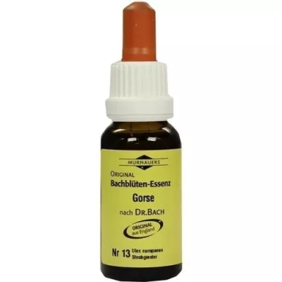 BACHBLÜTEN Murnauer Gorse drops, 20 ml