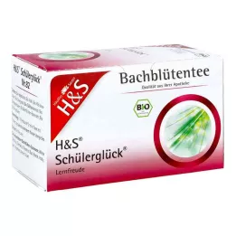 H&amp;S Bach Flowers Students Happiness Tea Filter Bag, 20X3.0 g