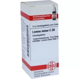 Lemna Minor C30 Globules (10 g)