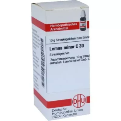 Lemna Minor C30 Globules (10 g)