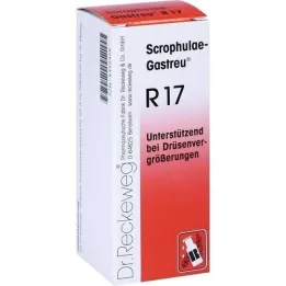 SCROPHULAE-Gastreu R17 mixture, 50 ml