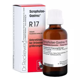Scrophulae Gastreu R 17 drops for oral use, 50 ml