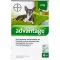 ADVANTAGE 40 Solution for dogs up to 4 kg, 4 pcs
