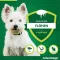 Advantage 40 for dogs up to 4 kg, 4 pieces