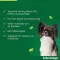 Advantage 40 for dogs up to 4 kg, 4 pieces