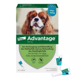 ADVANTAGE 100 solution for dogs 4-10 kg, 4 pcs