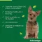 ADVANTAGE 100 solution for dogs 4-10 kg, 4 pcs