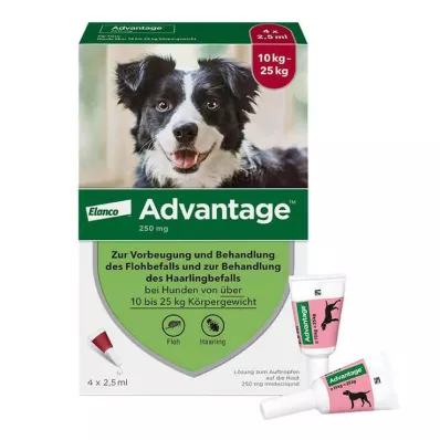 ADVANTAGE 250 solution for dogs 10-25 kg, 4 pcs ADVANTAGE 250 solution for dogs 10-25 kg, 4 pcs