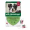 ADVANTAGE 250 solution for dogs 10-25 kg, 4 pcs