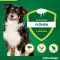 ADVANTAGE 250 solution for dogs 10-25 kg, 4 pcs