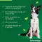 ADVANTAGE 250 solution for dogs 10-25 kg, 4 pcs