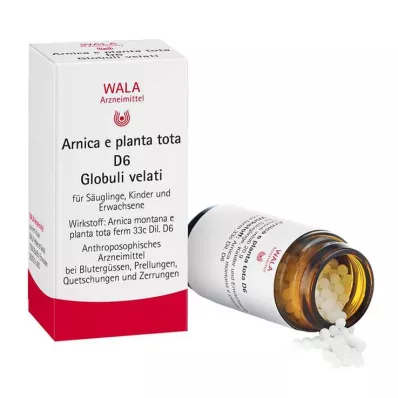Arnica E Planta tota D 6 globules, 20 g Arnica E Planta tota D 6 globules, 20 g