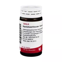 EQUISETUM/VISCUM Globules, 20 g