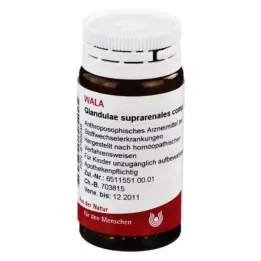 GLANDULAE SUPRARENALES comp.globules, 20 g