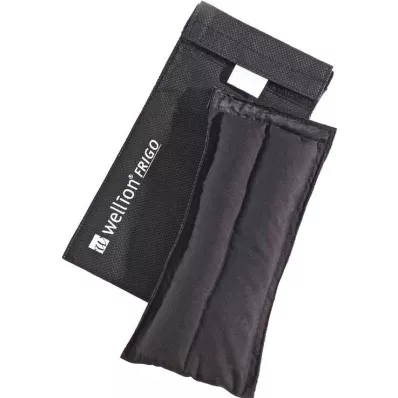 Wellion Frigo L med cooler bag, 1 pc