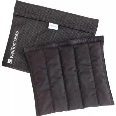 WELLION FRIGO XXL med cooler bag, 1 pc WELLION FRIGO XXL med cooler bag, 1 pc