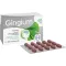 GINGIUM 40 mg film-coated tablets, 120 pcs